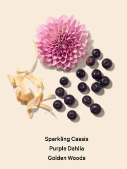 Bombshell Nights Eau De Parfum 10 Bombshell Nights Eau De Parfum -Underwear Promotional Store 112015478016 alt2