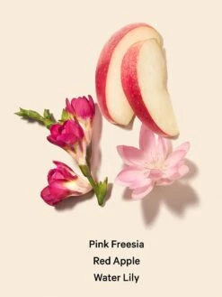 Bombshells In Bloom Eau De Parfum -Underwear Promotional Store 112015505814 alt1