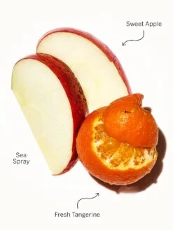 Victoria's Secret Fragrance Candles 26 Victoria's Secret Fragrance Candles -Underwear Promotional Store 112159168580 alt 1