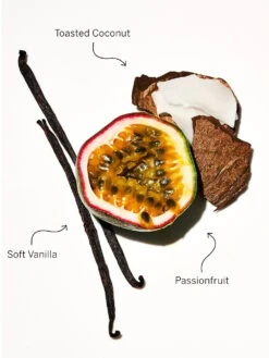 Victoria's Secret Fragrance Candles 31 Victoria's Secret Fragrance Candles -Underwear Promotional Store 112159168581 alt 1