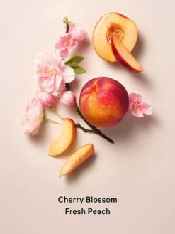 Shimmer Body Mist -Underwear Promotional Store 112285042017 alt