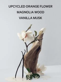 Bare Magnolia Eau De Parfum 13 Bare Magnolia Eau De Parfum -Underwear Promotional Store 112463026142 alt