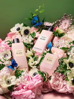 Tease Sugar Fleur Eau De Parfum - 1.7 Oz -Underwear Promotional Store 112519173882 alt