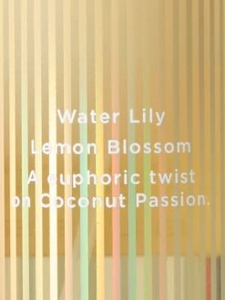 Fragrance Mist -Underwear Promotional Store 112532236855 OF B