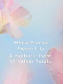 Fragrance Lotion -Underwear Promotional Store 112532246730 OF B