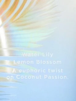 Fragrance Lotion -Underwear Promotional Store 112532246855 OM B