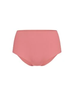 No-Show Lace High-Waist Brief Panty -Underwear Promotional Store 112626620EDK OF F DGA