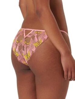 BLUEBELLA Patrice Brief