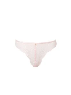 BLUEBELLA Peyton Thong Panty -Underwear Promotional Store 1126736272S0 OF F